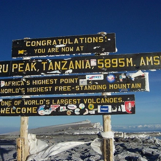 tourhub | World Adventure Tours | Climbing Kilimanjrao Via Machame Route 8 Days 