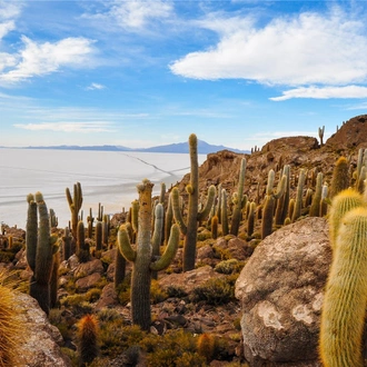 tourhub | Bamba Travel | Bolivia Explorer 8D/7N 