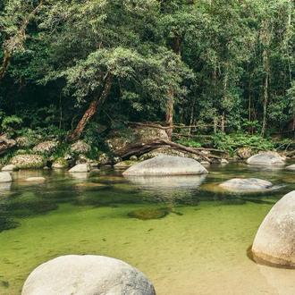 tourhub | Intrepid Travel | North Queensland Adventure 