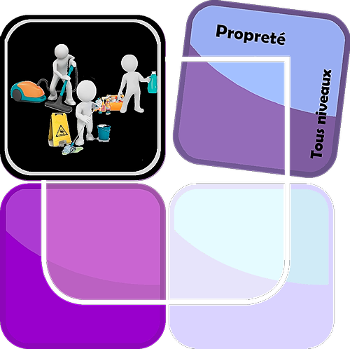 Représentation de la formation : TFP AERP