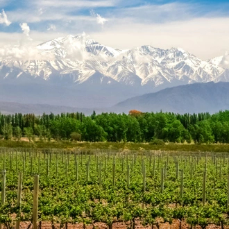 tourhub | Wendy Wu | Wines & Wonders of South America  