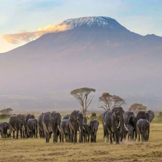 tourhub | Today Voyages | Luxury Safari Kenya 