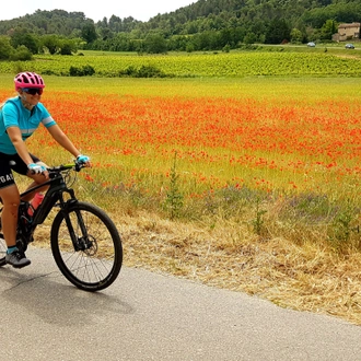 tourhub | Intrepid Travel | Cycle Tuscany 