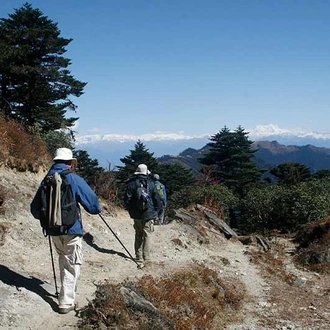 tourhub | Bhutan Acorn Tours & Travel | Wonders of Bhutan Incl. (3-Day) Gangtey Nature Trek 