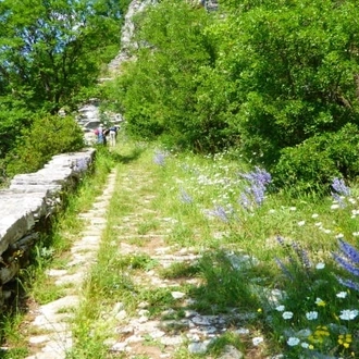 tourhub | Travel Editions | Walking in Epirus Tour 