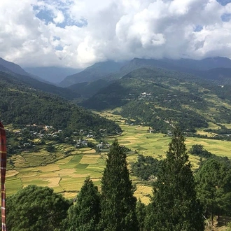 tourhub | Bhutan Acorn Tours & Travel | Bhutan Cultural Tour Incl. 2-Day Return Trek To a Sacred Mountain meadow (Bumdrak) 