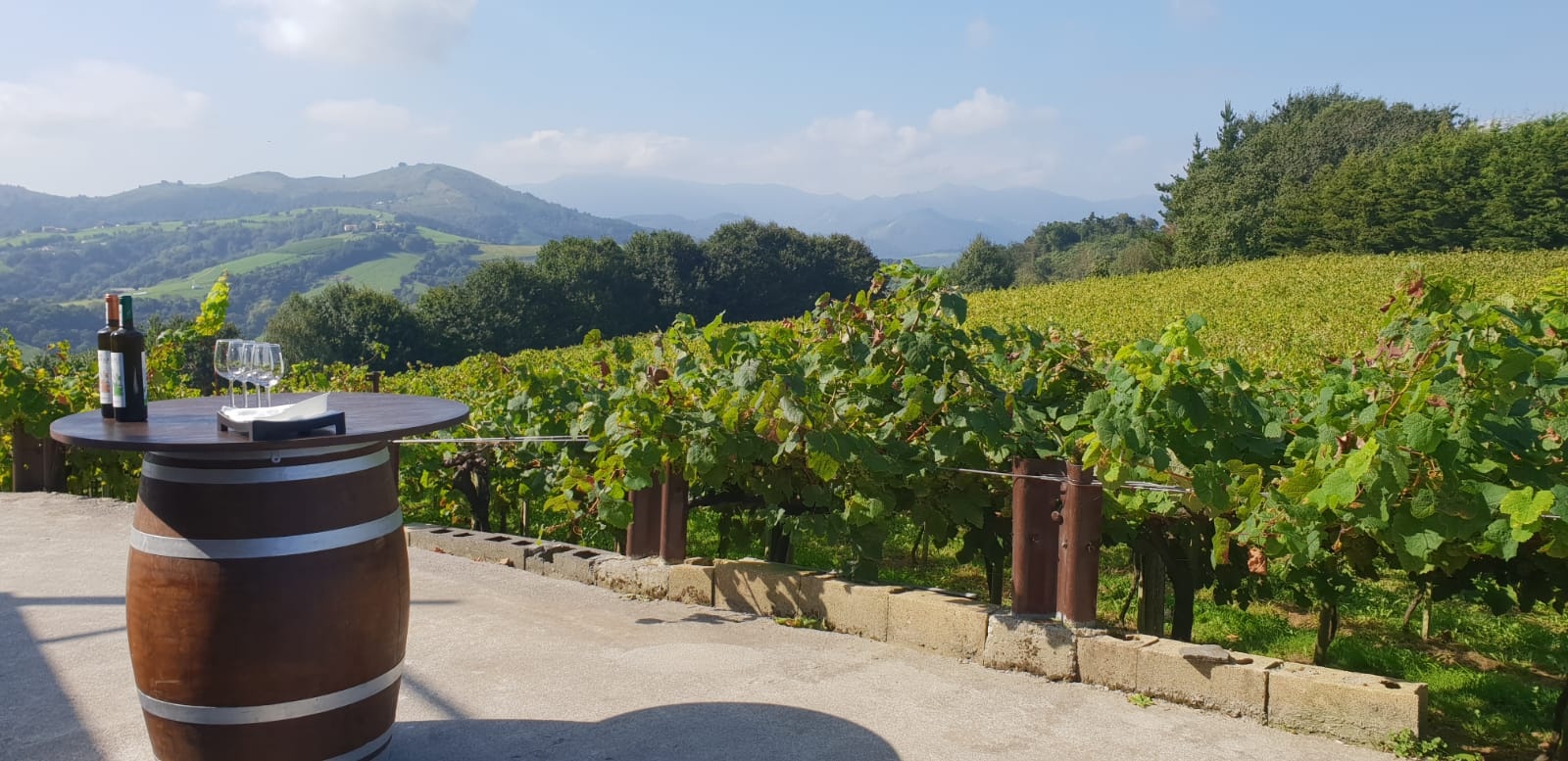 Tour de Vino Txakoli en Getaria desde San Sebastián en Semi-Privado con Recogida - Acomodações em San Sebastian