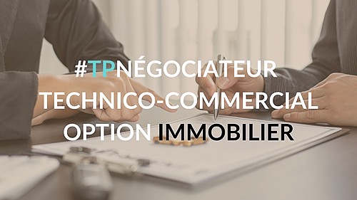 Représentation de la formation : Titre Professionnel Négociateur Technico-Commercial - Option Immobilier