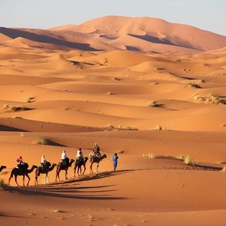 tourhub | Across Africa Tours Travel | 5 Days Sahara Express from Marrakech 