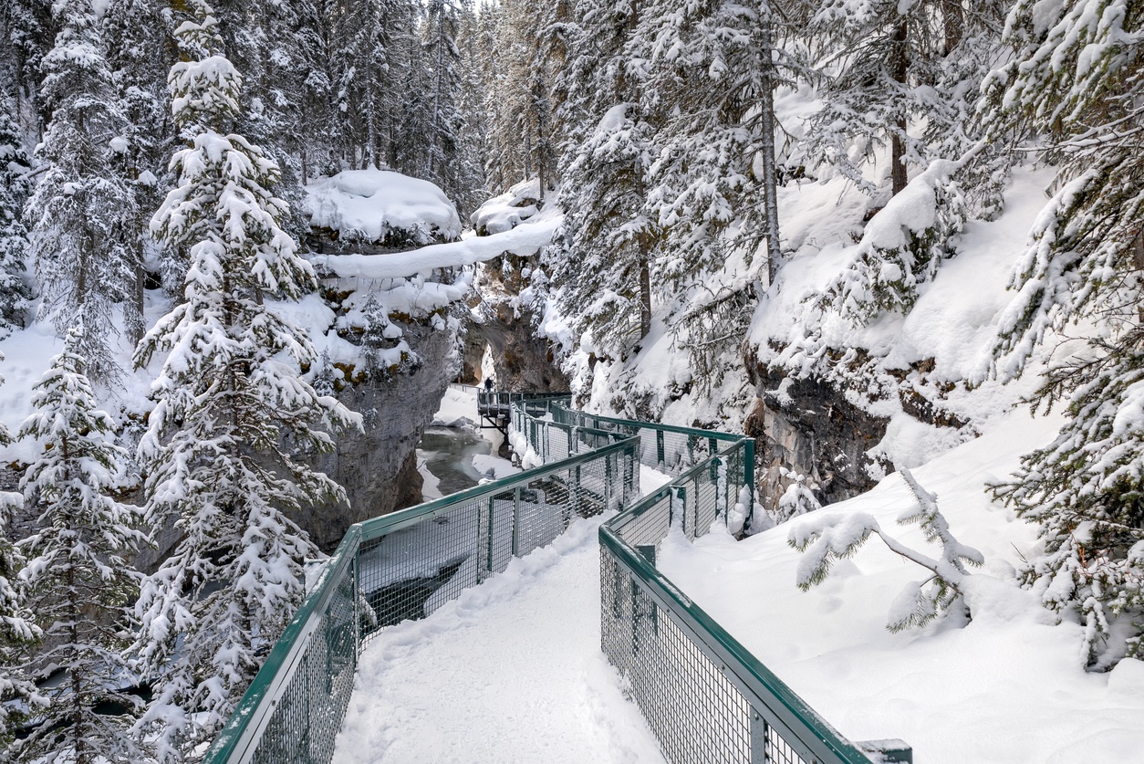 Winter Half Day Private Expedition with Pickup - Accommodations in Banff