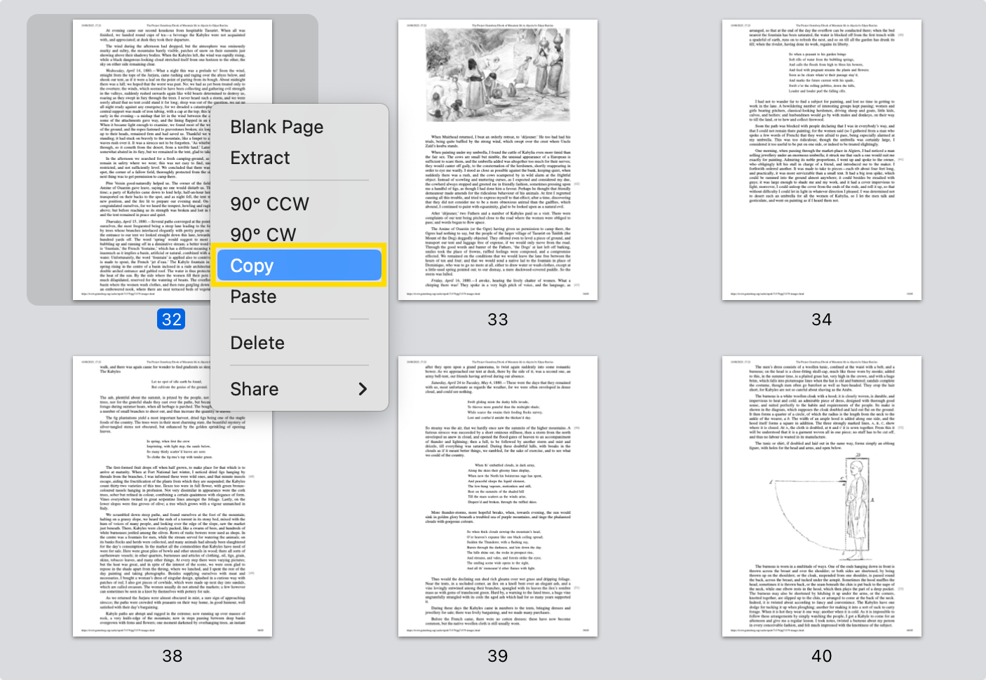 PDF Reader Pro Mac copy page