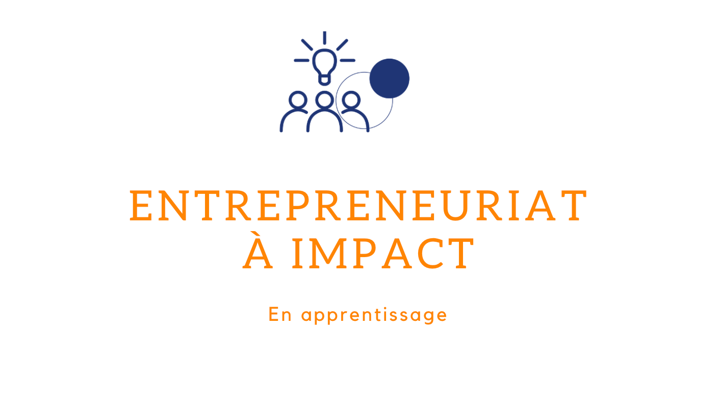 Représentation de la formation : Apprentissage de l'entrepreneuriat à impact