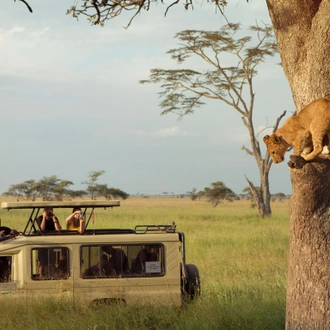 tourhub | G Adventures | Tanzania: Chimp Trekking & Serengeti Safari 