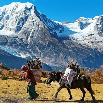 tourhub | Sherpa Expedition & Trekking | Manaslu Circuit Trek 17 Days 