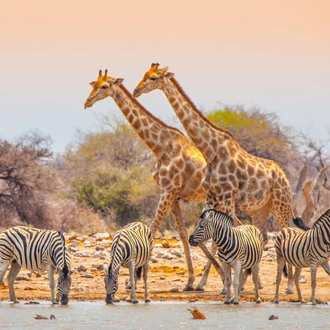 tourhub | Exodus Adventure Travels | Cycle Namibia 