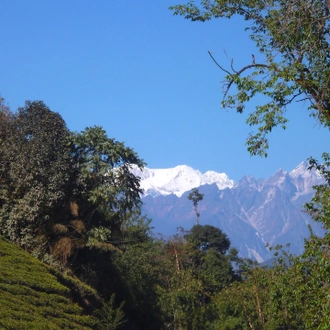 tourhub | Exodus Adventure Travels | Darjeeling, Sikkim & the Singalila Ridge 