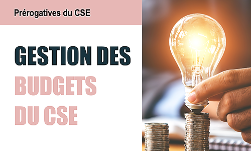 Représentation de la formation : 23 janvier 2025 : gérer les budgets du CSE