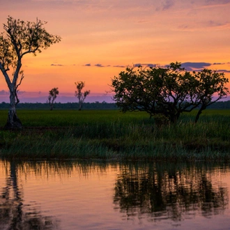 tourhub | Intrepid Travel | Kakadu, Katherine & Litchfield Family Adventure 