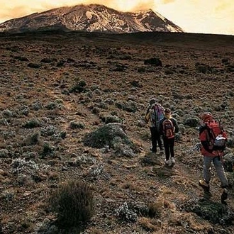 tourhub | Alaitol Safari | 10 Day Kilimanjaro Climb - Lemosho Route 