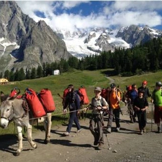 tourhub | UTracks | Mont Blanc Family Walk - France to Italy 