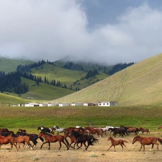 tourhub | SpiceRoads Cycling | Mountain Biking Kazakhstan and Kyrgyzstan 