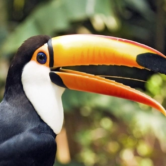 tourhub | Destination Services Costa Rica | Essential Costa Rica - Package with Guanacaste 