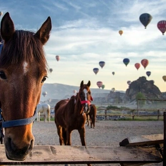 tourhub | Bien Cappadocia Travel | Cappadocia Private Tour From Istanbul By Plane Tour 