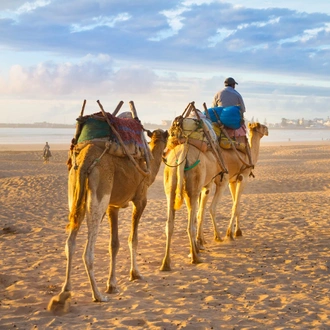 tourhub | Destination Services Morocco | Oasis & Desert, 2 days, Private tour 