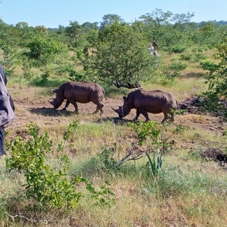 tourhub | Livingstone Lourie Safari | Victoria Falls, Livingstone & Chobe 