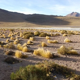 tourhub | Signature DMC | 3-Days Discovery at San Pedro de Atacama 