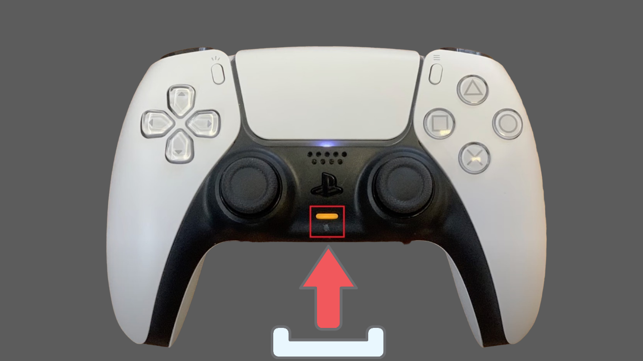 press the microphone button on your DualSense controlle