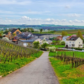 tourhub | Avalon Waterways | The Rhine & Moselle: Canals, Vineyards & Castles with 1 Night in Amsterdam (Imagery II) 