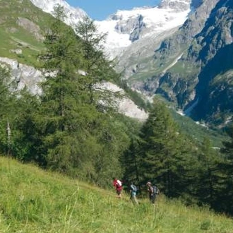 tourhub | UTracks | Gran Paradiso Hike 