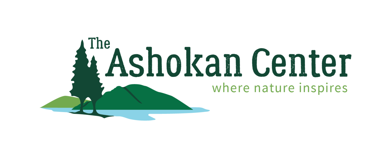 Ashokan Logo