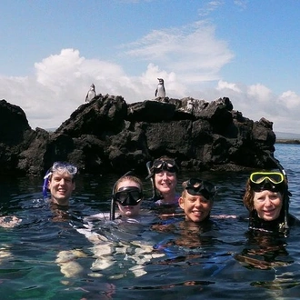 tourhub | Rebecca Adventure Travel | 5-Day Galapagos Island Hopping Tour: Los Tuneles, Tintoreras and Isabela 