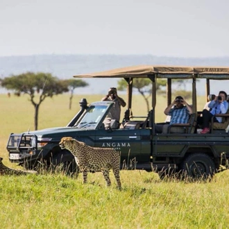 tourhub | Johnbow Tours and Travel | 3-Days Masai Mara safari by 4 X 4 Jeep 