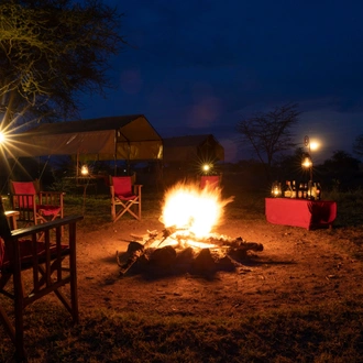 tourhub | Beach and Safari Holidays | Serengeti N.P.: 2 Full-Day Game Drives + Walking Safari + Night Drive 