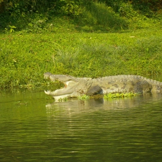 tourhub | Bamba Travel | Chitwan National Park Adventure 3D/2N (from Kathmandu) 