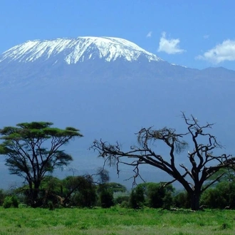 tourhub | Spider Tours And Safaris | 7 Days Kilimanjaro Climb Lemosho Route 