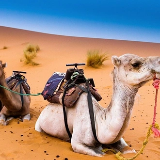 tourhub | Imagotravel | Private Sahara Desert Tour (Half Board, 4-Star Hotels) 