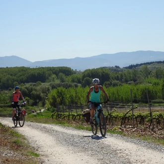 tourhub | Exodus Adventure Travels | Cycle the Camino de Santiago 