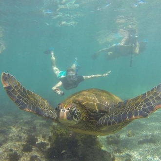 tourhub | Rebecca Adventure Travel | 5-Day Galapagos Multisport: Biking, Hiking, and Snorkeling 