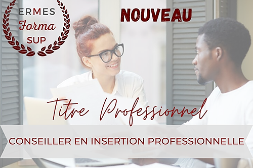 Représentation de la formation : TITRE PROFESSIONNEL CIP - CONSEILLER EN INSERTION PROFESSIONNELLE - RNCP 37274 