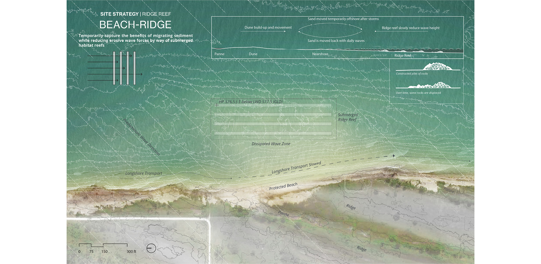 Beach Ridge Plain: Site Forces and Strategies
