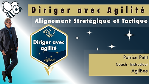 Représentation de la formation : Diriger avec Agilité