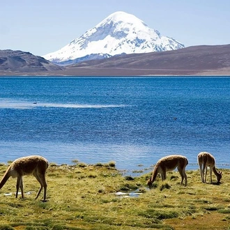 tourhub | Signature DMC | 4-Days Unique Experience at the Chilean High Plateau 