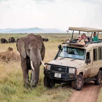 tourhub | Moipo Adventures | 3 Days Lodge Safari 