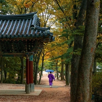 tourhub | Tweet World Travel | SOUTH KOREA DISCOVERY TOUR 