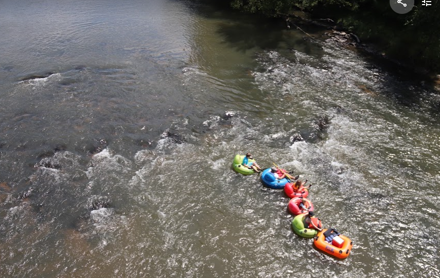 Zen Tubing Trip on The French Broad River (BYOB) image 6