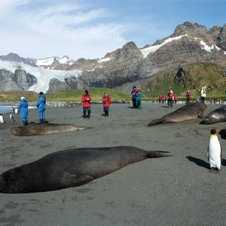 tourhub | World Expeditions | Falklands, South Georgia & Antarctica aboard Sea Spirit 